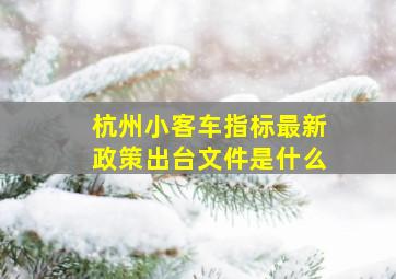 杭州小客车指标最新政策出台文件是什么