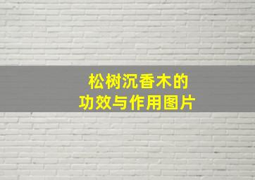 松树沉香木的功效与作用图片