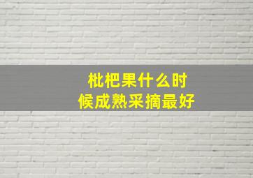 枇杷果什么时候成熟采摘最好