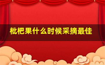 枇杷果什么时候采摘最佳