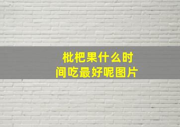 枇杷果什么时间吃最好呢图片