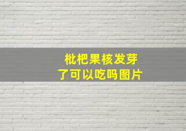 枇杷果核发芽了可以吃吗图片