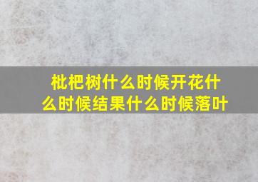 枇杷树什么时候开花什么时候结果什么时候落叶