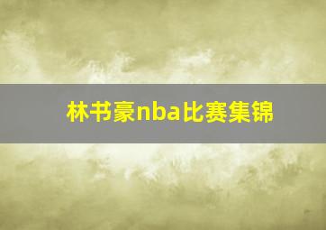 林书豪nba比赛集锦