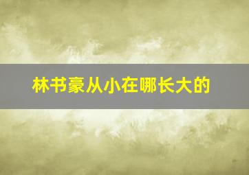 林书豪从小在哪长大的