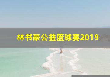 林书豪公益篮球赛2019