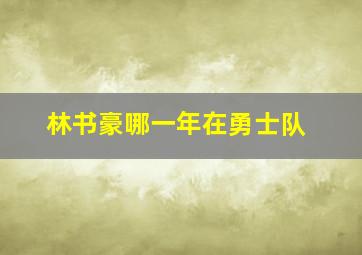 林书豪哪一年在勇士队