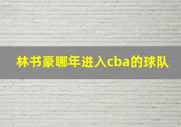 林书豪哪年进入cba的球队