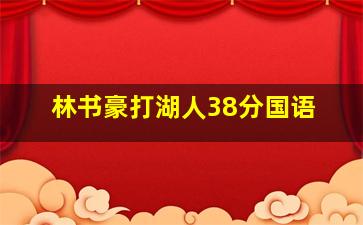 林书豪打湖人38分国语