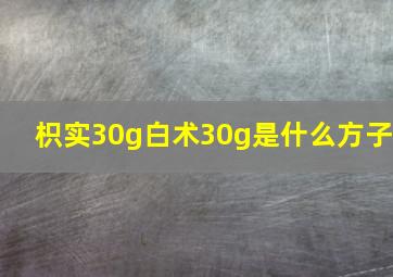 枳实30g白术30g是什么方子