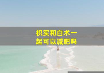 枳实和白术一起可以减肥吗