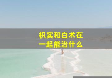 枳实和白术在一起能治什么