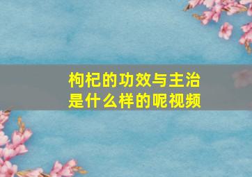 枸杞的功效与主治是什么样的呢视频