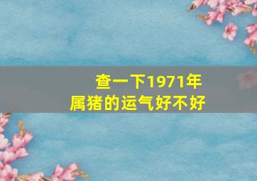 查一下1971年属猪的运气好不好