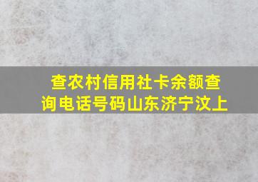 查农村信用社卡余额查询电话号码山东济宁汶上