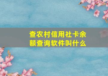 查农村信用社卡余额查询软件叫什么