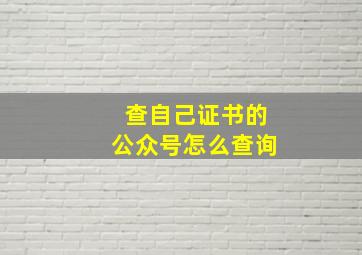 查自己证书的公众号怎么查询