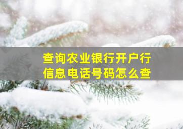 查询农业银行开户行信息电话号码怎么查