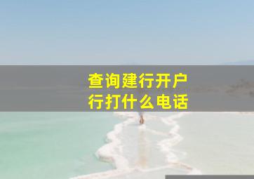 查询建行开户行打什么电话