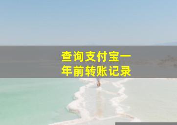 查询支付宝一年前转账记录