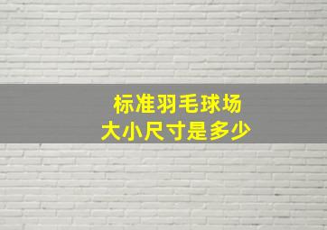 标准羽毛球场大小尺寸是多少