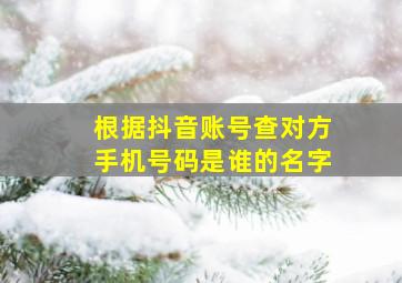 根据抖音账号查对方手机号码是谁的名字