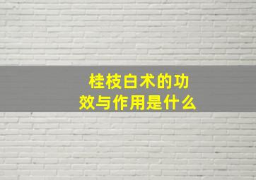 桂枝白术的功效与作用是什么