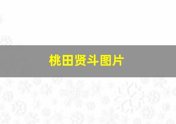 桃田贤斗图片