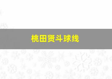 桃田贤斗球线