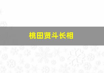 桃田贤斗长相