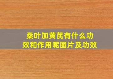 桑叶加黄芪有什么功效和作用呢图片及功效