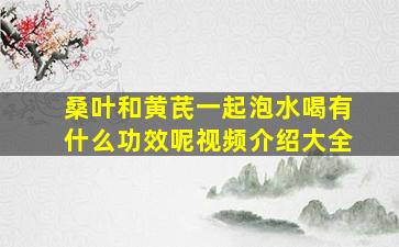 桑叶和黄芪一起泡水喝有什么功效呢视频介绍大全