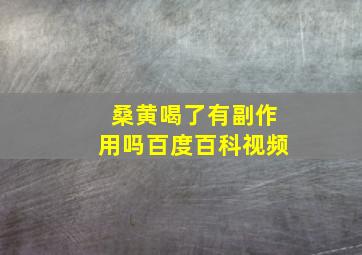 桑黄喝了有副作用吗百度百科视频