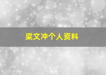 梁文冲个人资料