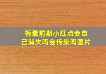 梅毒前期小红点会自己消失吗会传染吗图片