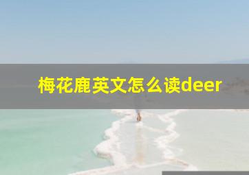 梅花鹿英文怎么读deer