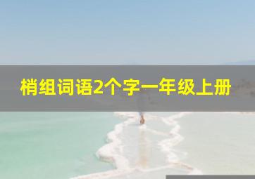 梢组词语2个字一年级上册