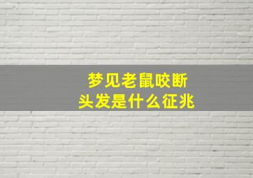 梦见老鼠咬断头发是什么征兆