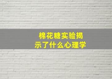 棉花糖实验揭示了什么心理学