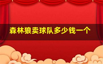 森林狼卖球队多少钱一个