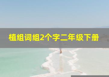 植组词组2个字二年级下册