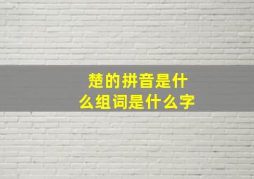 楚的拼音是什么组词是什么字