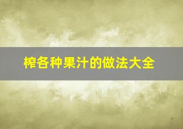 榨各种果汁的做法大全