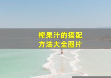 榨果汁的搭配方法大全图片