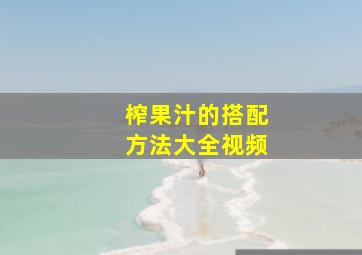 榨果汁的搭配方法大全视频