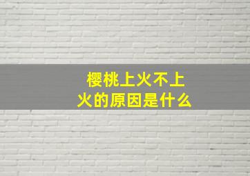 樱桃上火不上火的原因是什么