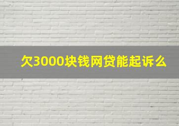 欠3000块钱网贷能起诉么