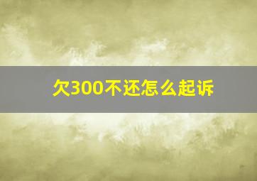 欠300不还怎么起诉