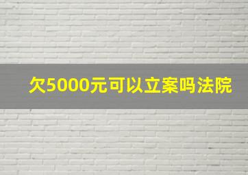 欠5000元可以立案吗法院