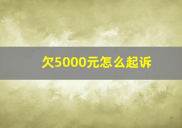 欠5000元怎么起诉